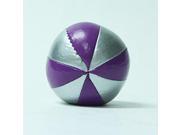 Higgins Brothers 8 Panel Professional Juggling Ball Purple and Silver