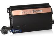 Precision Power Monoblock Amplifier 450W RMS
