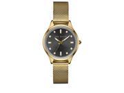 Ted Baker 10031191 Gold Gold Stainless Steel Analog Quartz Women s Watch