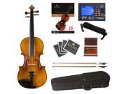 Cecilio 1 4 CVN 500 Antique Flamed Ebony Violin Package with Case Tuner Accessories Lesson Book DVD