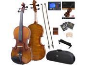 Cecilio Full Size 4 4 CVN 700 Highly Flamed 1 Piece Back Ebony Fitted Professional Violin with Case Tuner Accessories Lesson Book DVD