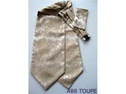 New Men s Toupe Paisley Polyester Ascot With Matching Hanky A88