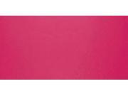 Indoor Outdoor Aerosol Paint 12 Ounces Mambo Pink Gloss