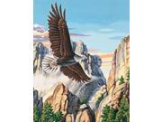 Paint By Number Kit 16 X20 Soaring Eagle