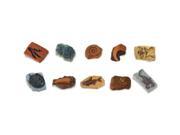 Plastic Miniatures In Toobs Ancient Fossils 10 Pkg