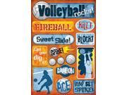 Volleyball Cardstock Stickers 5.5 X9 Volleyball Rocks