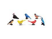 Plastic Miniatures In Toobs Backyard Birds