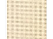 Painted Perforated Paper 14 Count 9 X12 2 Pkg Peach Sorbet