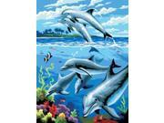 Junior Small Paint By Number Kit 8.75 X11.75 Dolphins