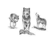 Sketching Made Easy Large Kit Wolves