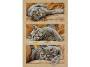 Max The Cat Counted Cross Stitch Kit 10 X15 14 Count