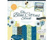 Blue Citrus Paper Stack 12 X12 48 Sheets 24 Designs 2ea
