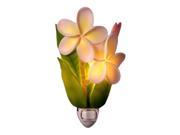 Tropical Island Plumeria Floral Hand Painted Night Light