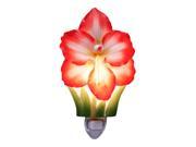 Red and White Holiday Amaryllis Floral Night Light