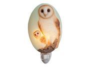 Barn Owl and Baby Hand Painted Night Light Bonded Marble