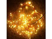 10m 100 LED String Light Lamp Decoration Lighting Copper for Christmas Party Wedding 12V Warm White