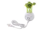 Anself Mini Potting Air Purifier Freshener Practical Charger With Colorful Night Light USB Port