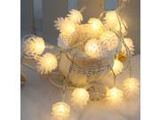 LIXADA 2.2M 20 LED Warm White Pinecone Lamp Fairy String Light for Party Wedding Christmas Home Room Decor Gift
