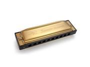 10 Holes Harmonica Key Of G Major Diatonic Mouth Harp Musician Instrument with 10 Holes in Gold Metal and Carrying Case for Beginner