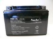 PowerStar PM9 BS Battery Fits or replaces Suzuki Motorcycle 650 cc 2007 1998 DR650SE