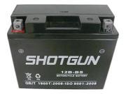 Shotgun ATX12BBS 12B BS Maintenance Free Absorbed Glass Mat AGM Battery