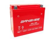 New Harley Davidson Motorcycle Replacement Banshee Battery 4 Year Warranty
