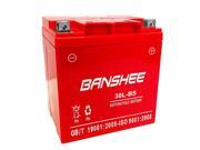 Harley Davidson Motorcycle Battery Replacement by Banshee w a 4 Year Warranty
