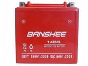 Replacement Battery for Hyosung GT250R 250cc BTX14 BS 4 YEAR WARRANTY