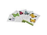 JAVOedge 5 Pack Set of Butterfly Notepad Sticky Notes for Organizing Reminders Planners