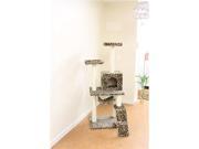 New Leopard Skin 57 Cat Tree Condo Furniture Scratch Post Pet House 5777