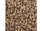 Outdoor Artificial Turf Brown Tan Several Other Sizes to Choose From