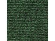Indoor Outdoor Carpet Green Several Other Sizes to Choose From