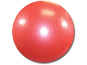 Exercise Ball with Pump Burst Resistant Yoga Ball