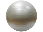 Exercise Ball with Pump Burst Resistant Yoga Ball