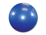 Exercise Ball with Pump Burst Resistant Yoga Ball