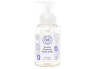 The Honest Company H02FHS160000S Foaming Hand Soap