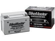 BikeMaster AGM Platinum II Battery MS12 14A A2