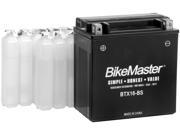 BikeMaster High Performance Maintenance Free Battery BTX20HL BS PW BTX20HL BS PW