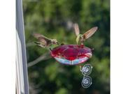 Droll Yankees Ruby Sipper 5 ounce Window Hummingbird Feeder Clear RS3WC