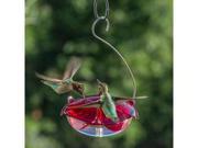 Droll Yankees Ruby Sipper 5 ounce Hummingbird Hanging Feeder Clear RS3HC
