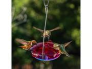Droll Yankees Ruby Sipper 5 ounce Hummingbird Hanging Feeder Lavender RS3HL
