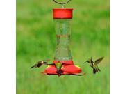 16Oz Glass Hummingbird Feeder Woodstream Bird Feeders 210PB Red 078978210905