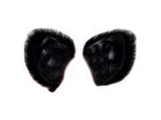 Black Cat Ears 1677