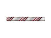 Edelweiss Static Rope 300 ft. White Edelweiss