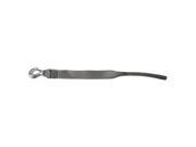 BoatBuckle Winch Strap w Tail End 2 x 20 BoatBuckle F07674