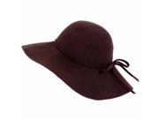 Brown Wide Brim Wool Style Floppy Hat
