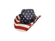 American Flag Print Straw Bent Brim Cowboy Hat