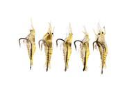 5Pcs 4cm 2g Fishing Lure Soft Super Lightweight Vivid Shrimp Prawn Bait Sharp Hook Fishy Smell