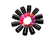 12 Color Mini Moisturizing Colorful Lipstick Lip Makeup