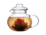 Primula Glass Teapot 40 oz. w Infuser